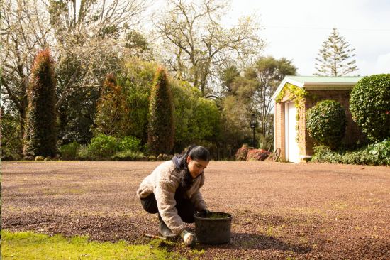 Landscape Maintenance